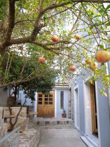 uma laranjeira em frente a uma casa em Apartments Markovic Sutomore em Sutomore