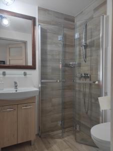 a bathroom with a shower and a sink at Słoneczny Domek in Grywałd