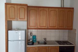 a kitchen with wooden cabinets and a white refrigerator at La casa de Sophie in (( Agía Eleoúsa ))