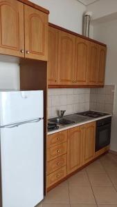 a kitchen with wooden cabinets and a white refrigerator at La casa de Sophie in (( Agía Eleoúsa ))