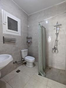 盧克索的住宿－Villa Rebecca，一间带卫生间和水槽的浴室