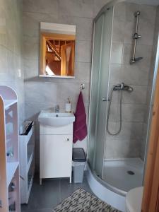 ein Bad mit einer Dusche, einem Waschbecken und einem WC in der Unterkunft Domki Blizniaki in Żywki
