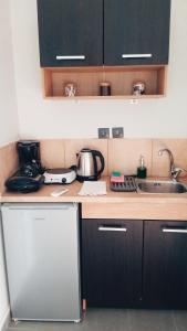 a kitchen with a sink and a refrigerator at Aelia Boutique Apartments in Argostoli