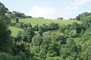 a green hill with a house on top of it at CASA EN BRAÑA VAQUEIRA EN OCCIDENTE DE ASTURIAS 