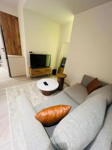 Unique apartment : غرفة معيشة بها أريكة وتلفزيون