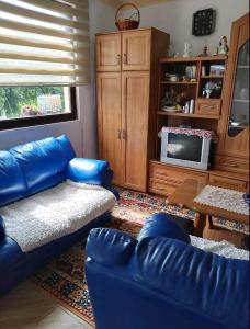 a living room with a blue couch and a tv at DRAGICA Manastirska 10 in Ljubovija