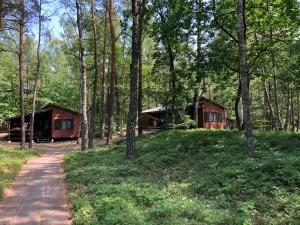 uma cabana na floresta ao lado de uma estrada de terra em Leśnik Bungalow Stegna - domki letniskowe nad morzem em Stegna