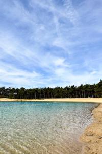 une grande masse d'eau avec des arbres à l'arrière-plan dans l'établissement Luxe boshuis Veluwe - Foss Lodge - luxury forest retreat, à Nunspeet