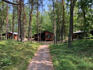 um caminho que leva a uma cabana na floresta em Leśnik Bungalow Stegna - domki letniskowe nad morzem em Stegna
