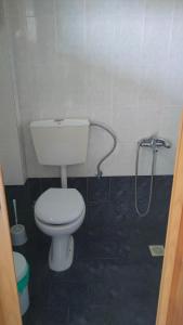 a bathroom with a toilet and a shower at Vigla House in Sykia Chalkidikis