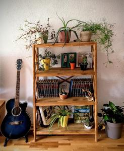 Gallery image of ILIS House Matka in Skopje +23 photos