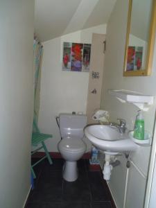 ロリアンにあるChambre meublée sympa proche centre ville Lorientのバスルーム(トイレ、洗面台付)