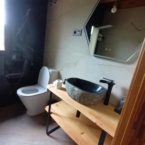 a bathroom with a sink and a toilet at Vivienda Turistica Cueto Larama VUT-LE-860 in Villafeliz