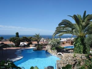 a swimming pool with a palm tree and the ocean at El Capistrano Sur in Nerja