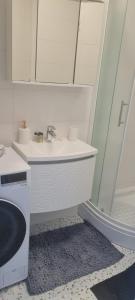 a bathroom with a sink and a mirror at Elena - Studio Apartman in Ičići