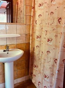 uma casa de banho com um lavatório e uma cortina de chuveiro em Zakątek Bursztynowy em Łeba