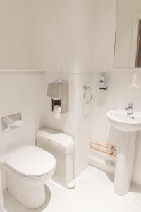 a white bathroom with a toilet and a sink at An Spiris Accommodation at Dundreggan Rewilding Centre in Dundreggan