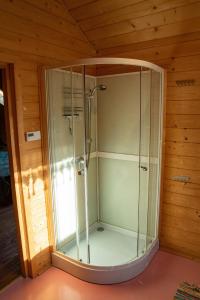 a shower in a room with a glass enclosure at Żurawi Jar in Wąbrzeźno