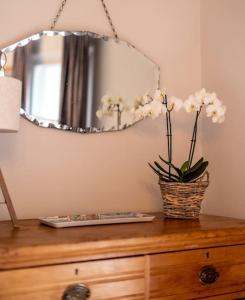 溫徹斯特的住宿－Beautiful & Spacious Retreat in Winchester，梳妆台上方的镜子,上面有植物