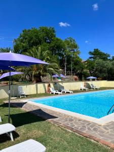 - une piscine bordée de chaises et de parasols dans l'établissement Fattoria della Sabatina, à La Sabatina