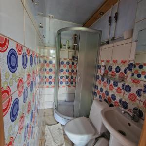 a bathroom with a shower and a toilet and a sink at Griežto 5 in Zarasai +46 photos