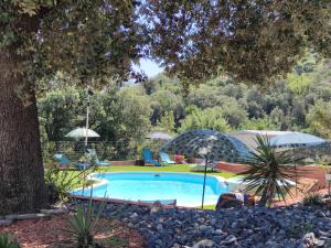 a swimming pool with umbrellas in a yard at Le Havre de Paix in Céret