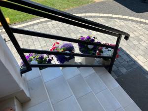 a balcony with a bunch of flowers on it at AGAT Pokoje Gościnne Apartamenty in Pobierowo +110 photos