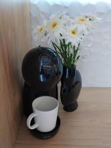 Fotografie z fotogalerie ubytování apartament ultracentral Pathfinder v destinaci Târgu-Mureş