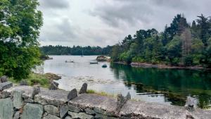 a view of a river with boats in it at Cuckoo Tree House Glengarriff Beara Peninsula in Glengarriff