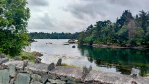 een uitzicht op een rivier met boten erin bij Cuckoo Tree House Glengarriff Beara Peninsula in Glengarriff