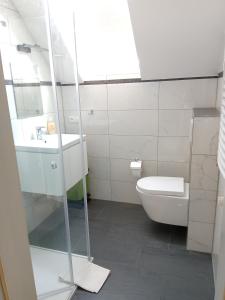 een badkamer met een toilet en een wastafel bij A-ura Pokoje goscinne in Mikołajki