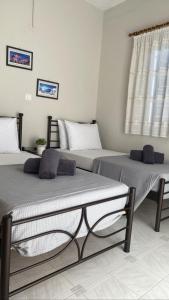two beds sitting next to each other in a room at Andromeda in Ios Chora
