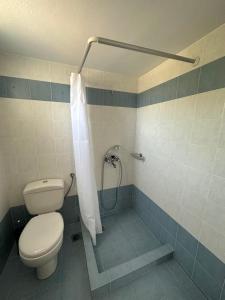 ein Bad mit einem WC und einer Dusche in der Unterkunft Parodise Apartment in Kampos Paros