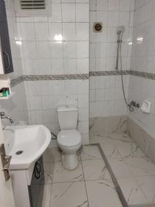 een witte badkamer met een toilet en een wastafel bij Mardy Deluxe Houses in Istanbul