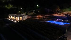 a backyard at night with a swimming pool and lights at Apartments and Winery Djukovic in Virpazar