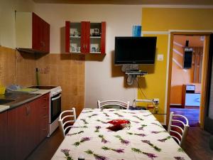 a kitchen with a table with a flower pattern on it at Apartments Anita in Crikvenica