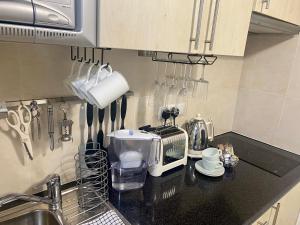 Kuchyň nebo kuchyňský kout v ubytování Terra Apartments