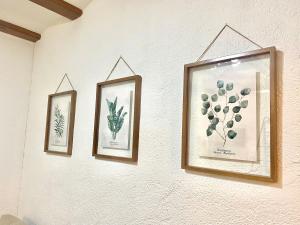 Fotografie z fotogalerie ubytování Terra Apartments v destinaci Denia