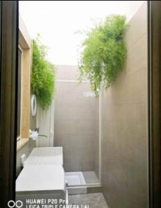 a bathroom with a shower with a plant in it at Mare & Vento in Torre Lapillo