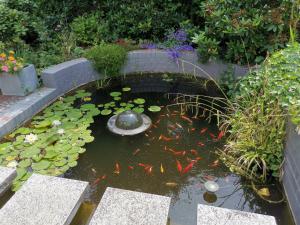 a pond with a bunch of koi in a garden at Modernes, Mini-Apartment Nürnberg,Playmobil in Zirndorf