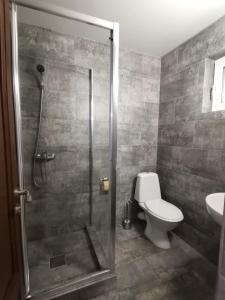 La salle de bains est pourvue d'une douche, de toilettes et d'un lavabo. dans l'établissement Pensiunea Lu' Movila, à Durau