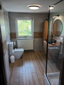 ein Bad mit einem WC und einem Fenster in der Unterkunft Apartament Rabinówka in Maruszyna