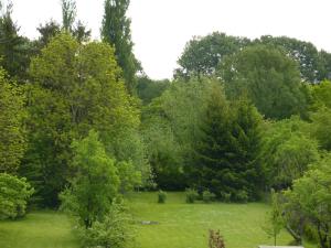 a field of grass with trees and bushes at Pension Märkische Bauernstube in Schorfheide