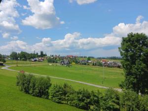 a green field with a town in the background at Apartament Rabinówka in Maruszyna