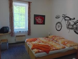 1 dormitorio con 1 cama y una bicicleta en la pared en Penzion Troníček, 