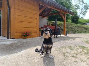 Domáce zviera alebo zvieratá hostí v ubytovaní Horná chata u Bratrikov