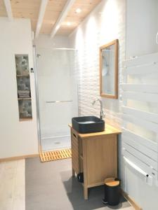 uma casa de banho com um lavatório e um chuveiro em Gite du chene em Ledeuix