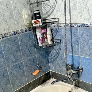 baño con lavabo y estante con artículos de aseo en Humo Family Home, en Tashkent
