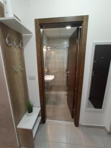 W łazience znajduje się toaleta, umywalka i lustro. w obiekcie Apartman Zara w mieście Jagodina
