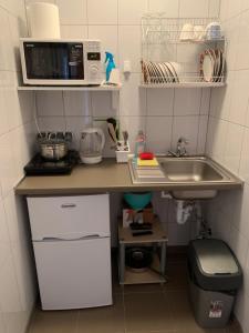 Guesthouse Svečiuose pas Gražina tesisinde mutfak veya mini mutfak